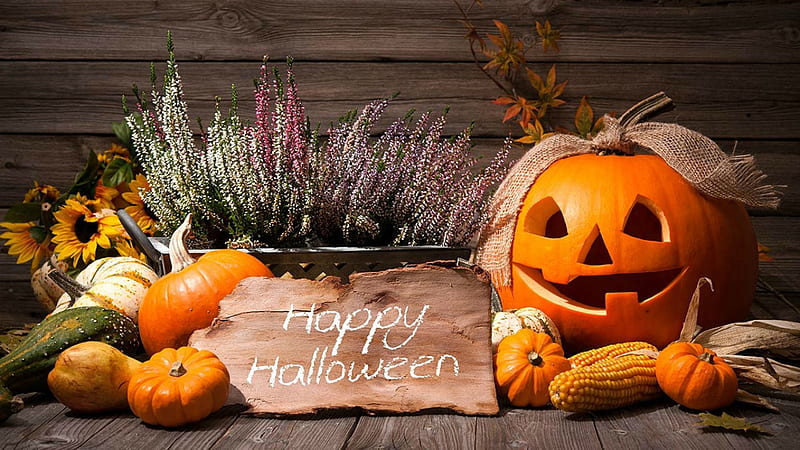Click to Enlarge-Esc to Close EventPhotos/Halloween/z happy halloween.jpg